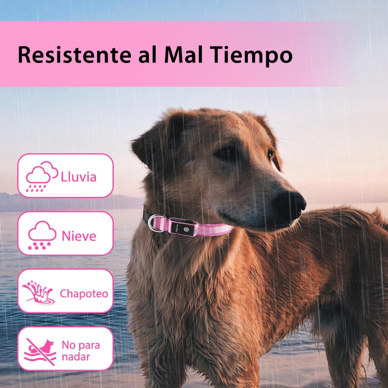 PcEoTllar Light up Dog Collar for Night Walking - LED Dog Collar Light Rechargeable Color Changing, Glow in The Dark Dog Collars Waterproof Glowing Dog Collars for Large Small Medium Dogs - Image 4